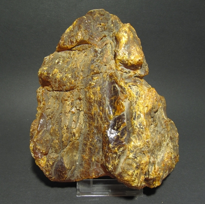 Ein großer Rohbernstein aus dem Baltikum (ca. 45 Mio. Jahre alt)