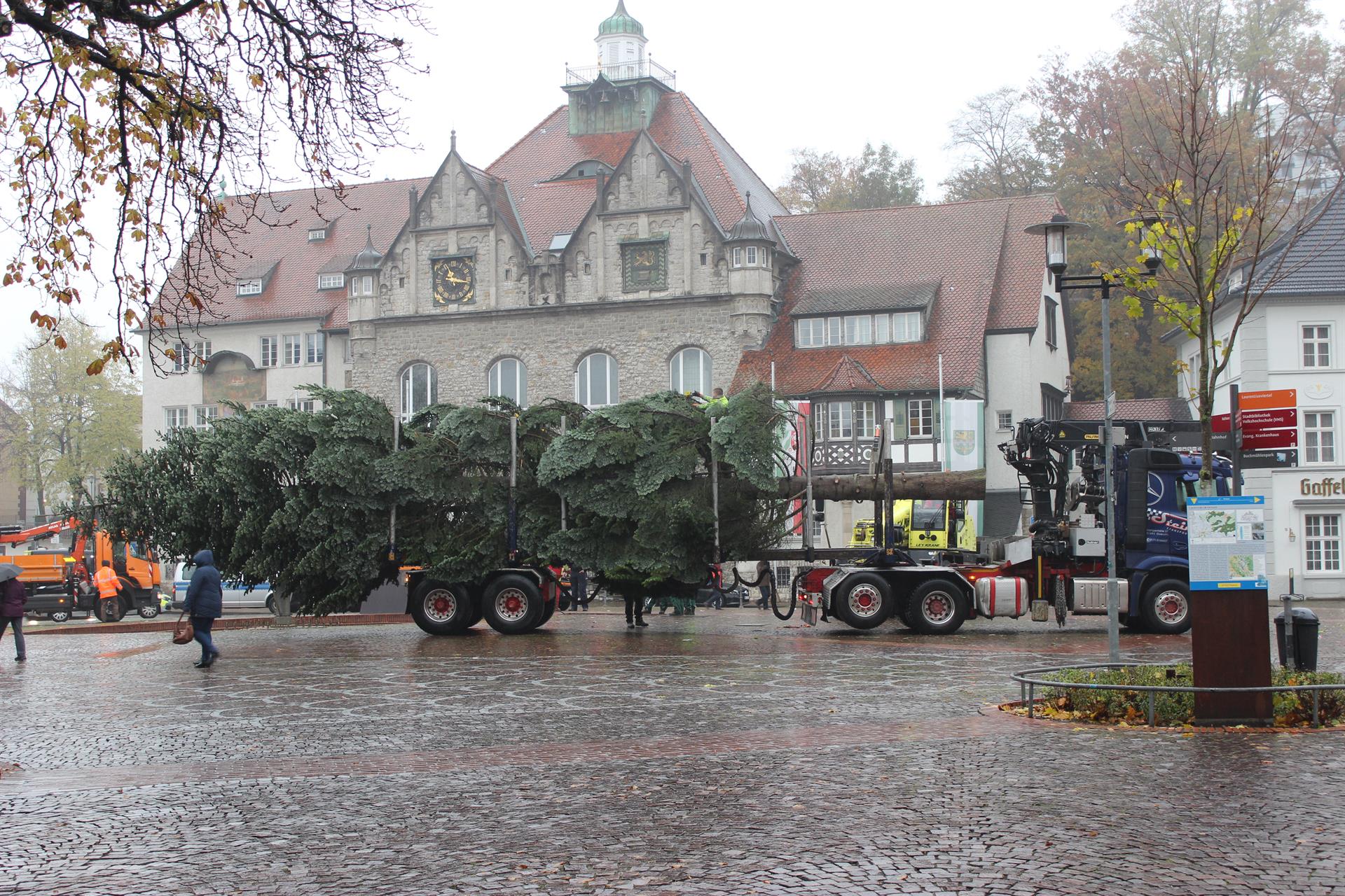 Bergisch Gladbacher Weihnachtsbaum aufgebaut