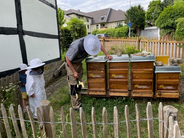 Osterferien-Aktion in der Bensberger Stadtteilbücherei und dem Bergischen Museum: Komm, wir entdecken die Bienen!