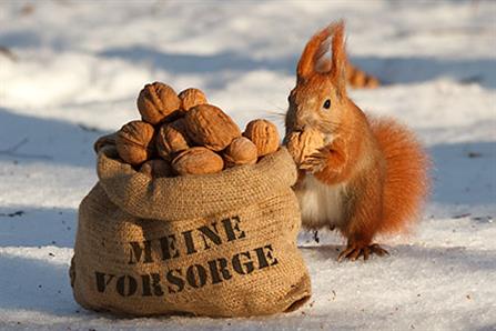 Eichhörnchen und Sack Walnüsse mit der Aufschrift meine Vorsorge