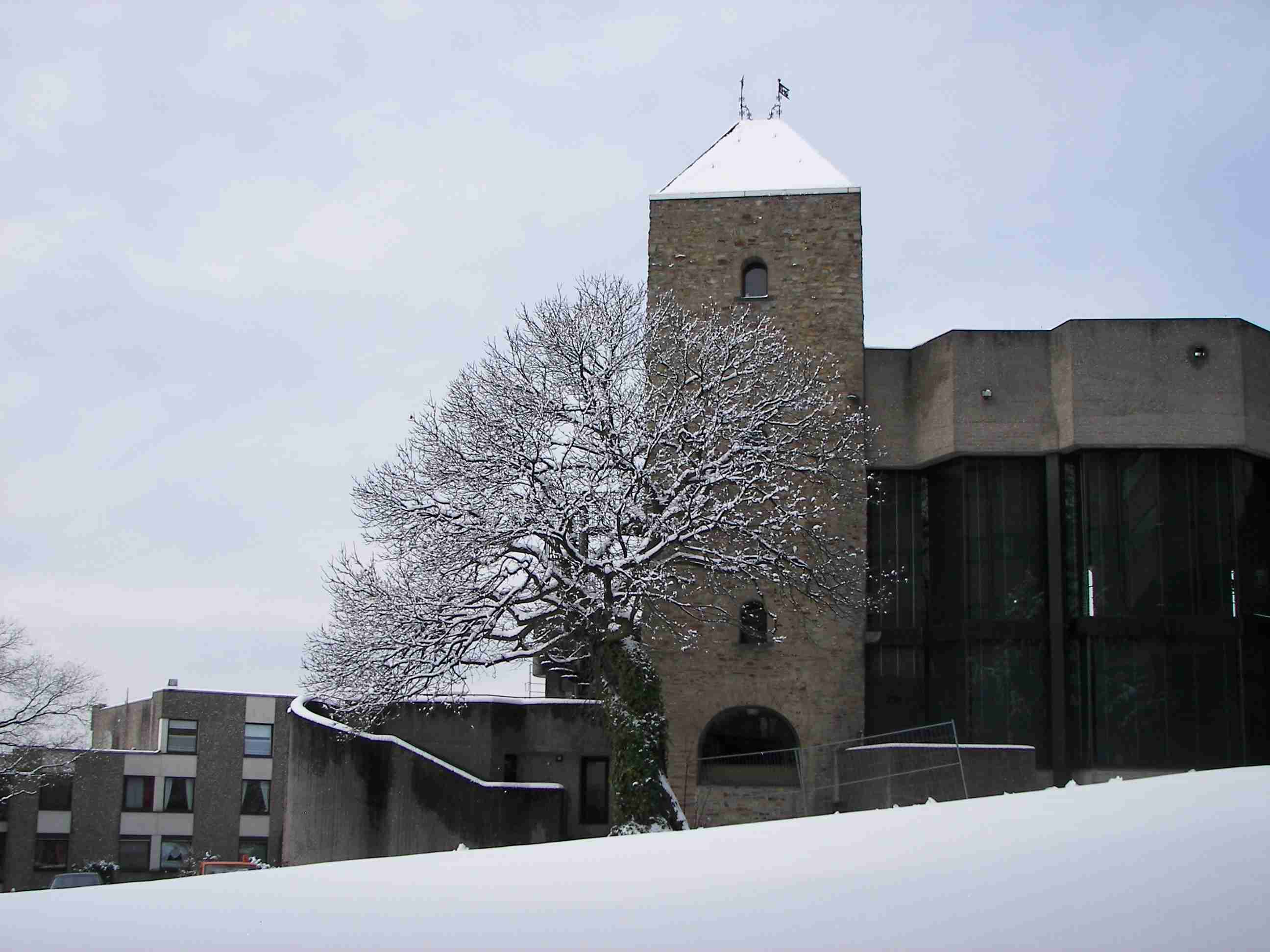 Esskastanie Rathaus Bensberg