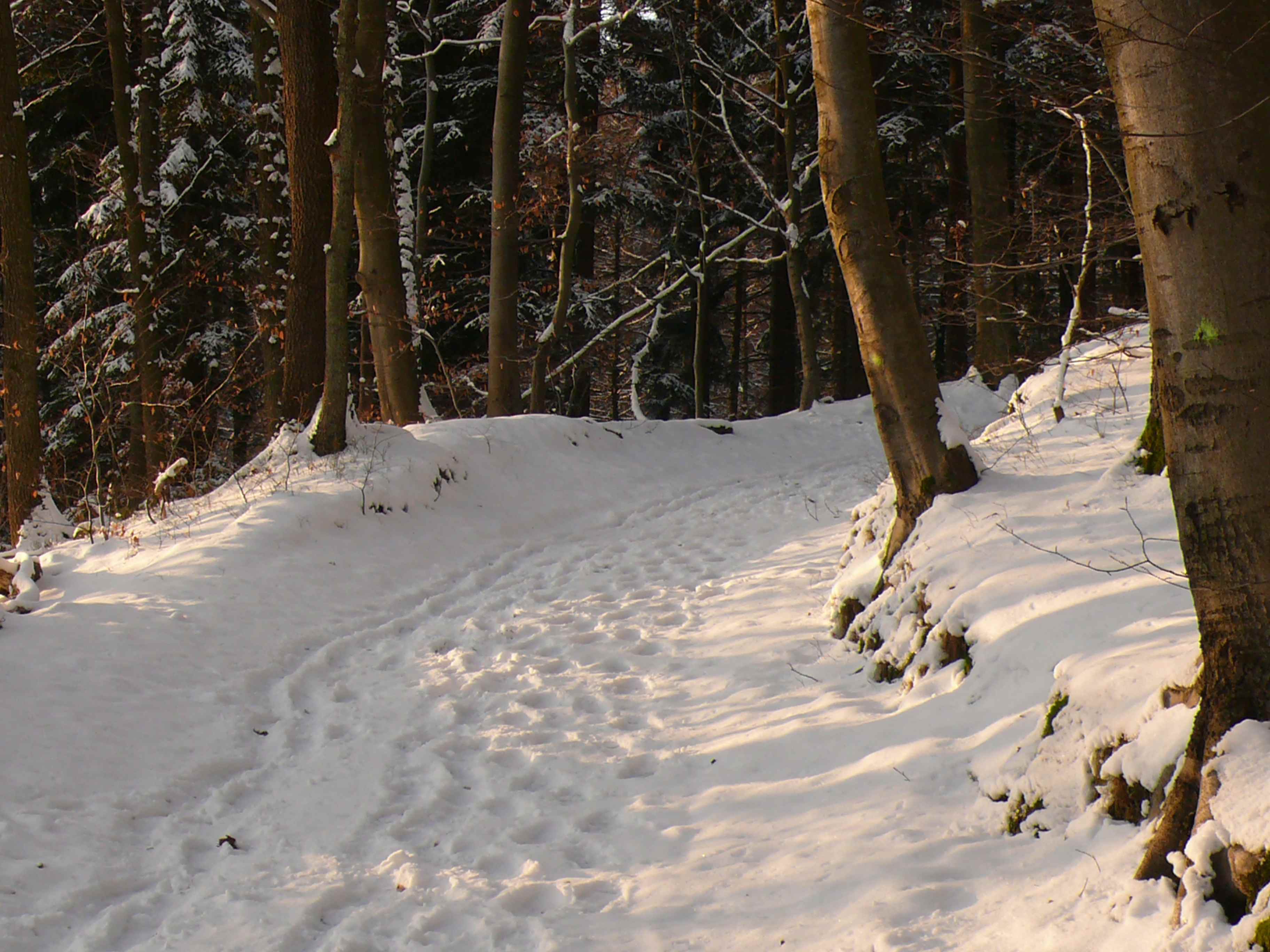 Winterlandschaft