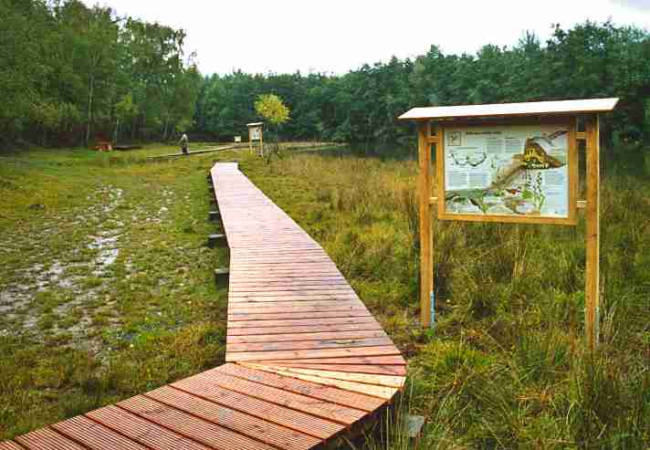 Bohlenweg in der Grube Weiß