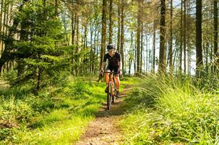 mtb reifen pannensicher test Set: 2 x Schwalbe Marathon Plus Reflex Pannenschutz 26x2.25 + Schwalbe SCHLÄUCHE Rennradventil Sport & Freizeit Größen Handschuhe:10/XL BLB Supreme Pro Faux no pedals