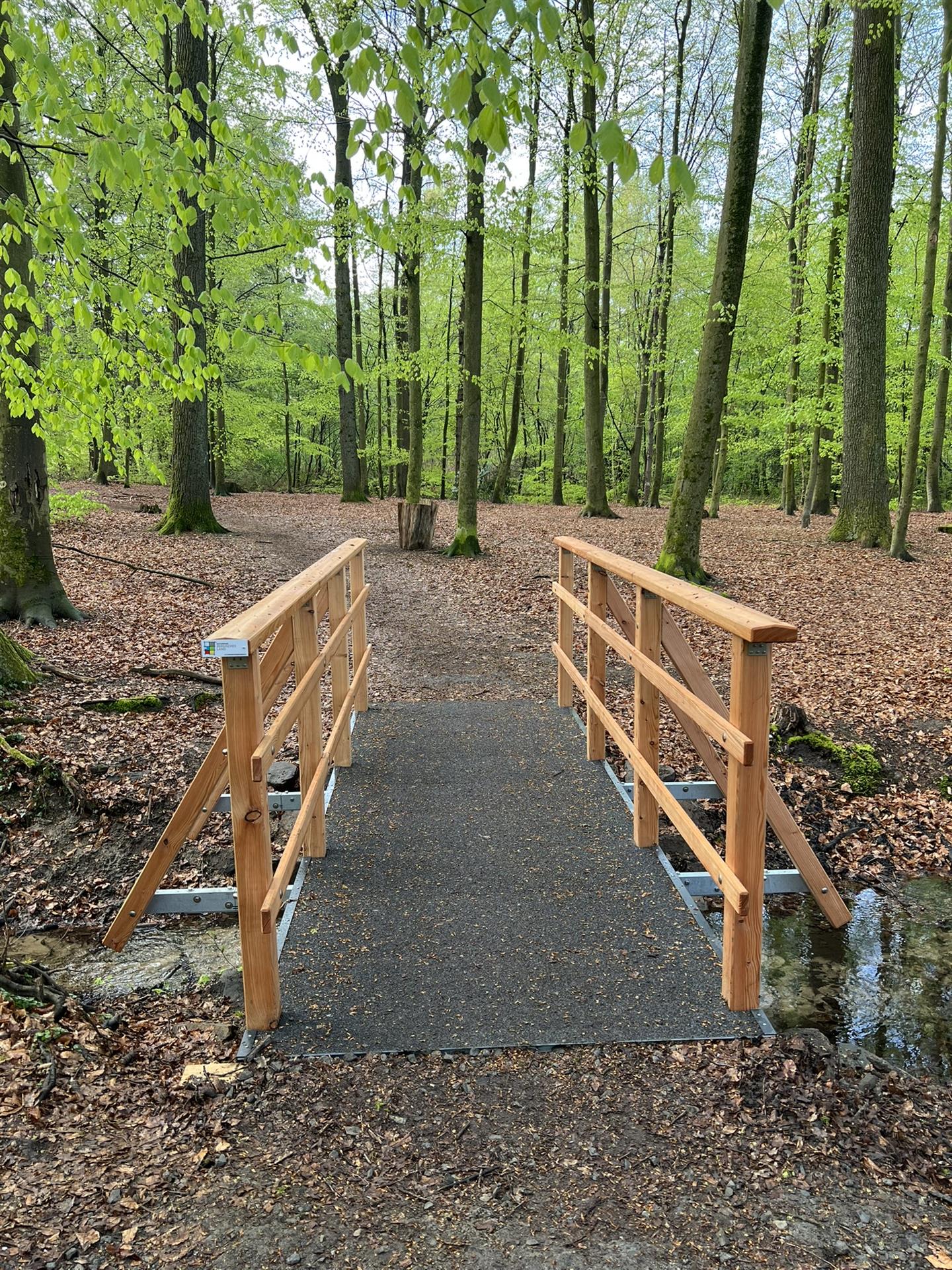 Start der Wandersaison: Stadt Bergisch Gladbach setzt zwei Förderprojekte erfolgreich um