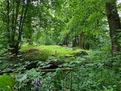 Bild: Stadt Bergisch Gladbach - Kulturbüro
